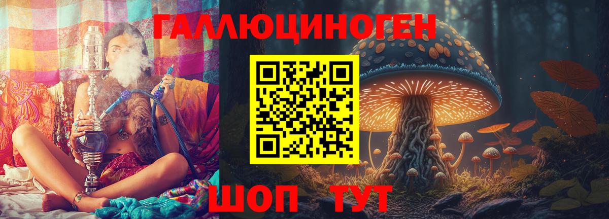 Псилоцибиновые грибы GOLDEN TEACHER Лесосибирск